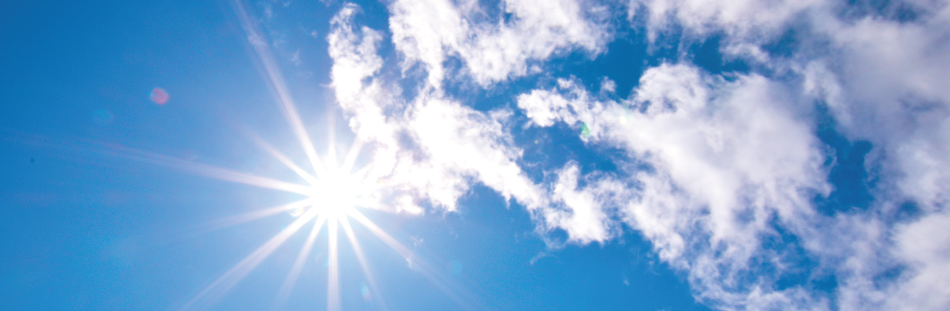 プライバシーポリシー